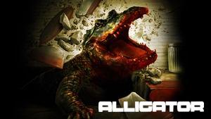 Alligator