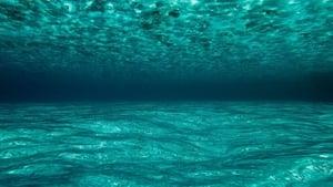 OceanWorld 3D