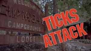 Ticks