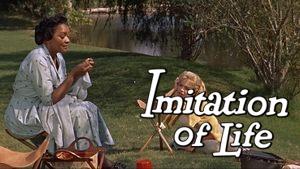 Imitation of Life