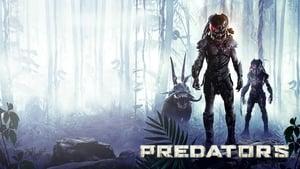Predators