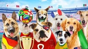 Pups United