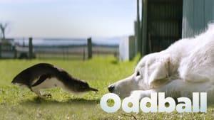 Oddball