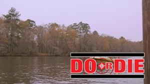 Do or Die