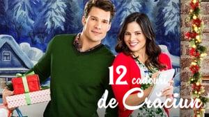 12 Gifts of Christmas