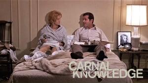 Carnal Knowledge