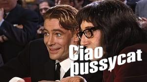 What's New Pussycat?