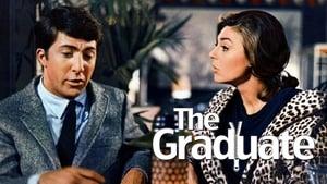 The Graduate