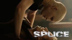 Splice