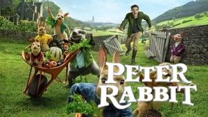Peter Rabbit