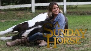 A Sunday Horse