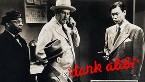 Dark Alibi