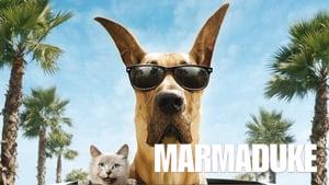 Marmaduke