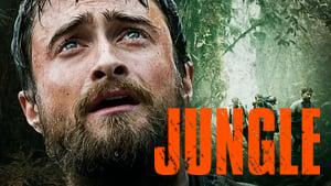 Jungle