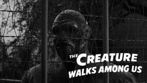 The Creature Walks Among Us