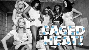 Caged Heat
