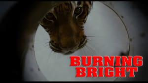 Burning Bright
