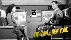 Tarzan's New York Adventure