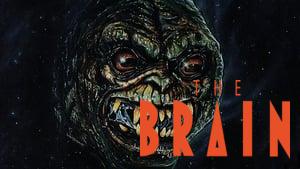 The Brain