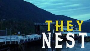 They Nest