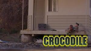 Crocodile