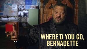 Where'd You Go, Bernadette