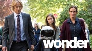 Wonder