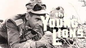 The Young Lions