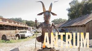 Antrum