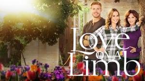Love on a Limb