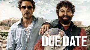 Due Date