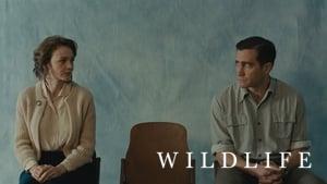 Wildlife