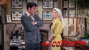 The Collector