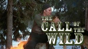 The Call of the Wild
