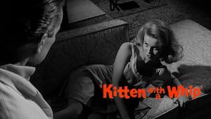 Kitten with a Whip