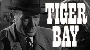 Tiger Bay