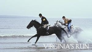 Virginia's Run