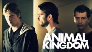 Animal Kingdom