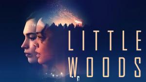 Little Woods