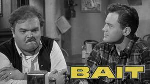 Bait