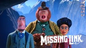 Missing Link