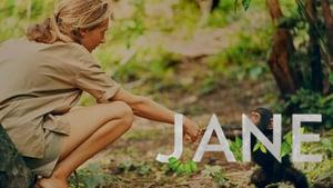 Jane