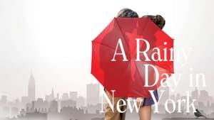 A Rainy Day in New York