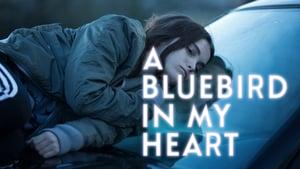 A Bluebird in My Heart