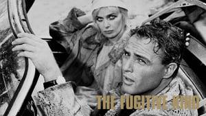The Fugitive Kind