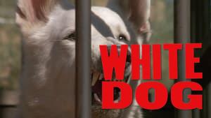 White Dog