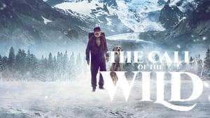 The Call of the Wild