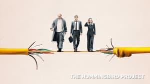The Hummingbird Project
