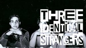 Three Identical Strangers