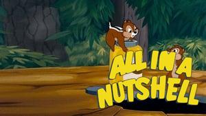 All in a Nutshell